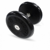 гантель классик с вращающейся ручкой хром 11 кг mb barbell mb-fdbem-b11