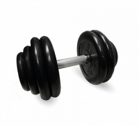 гантель профи 28,5 кг mb barbell